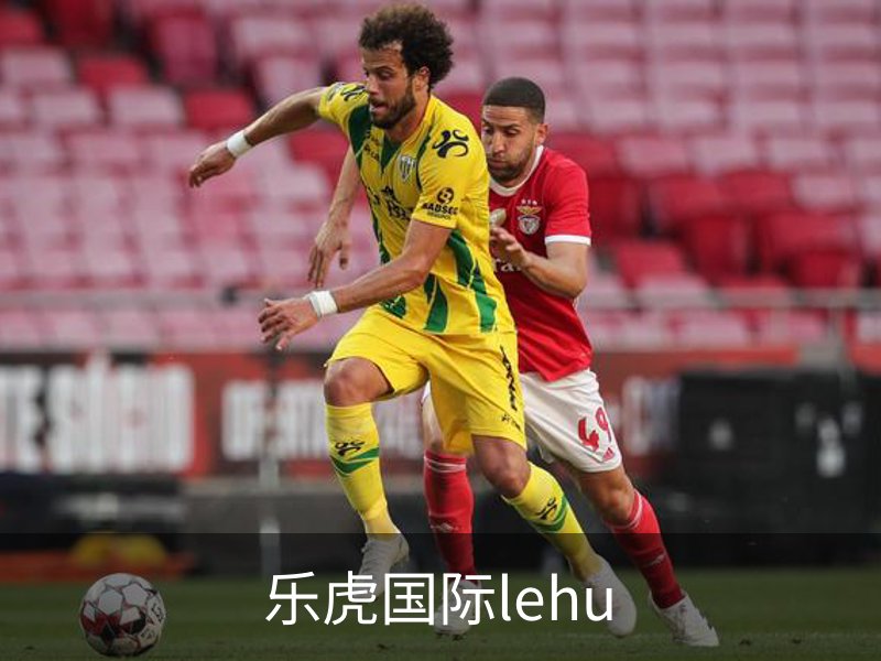 关于乐虎国际lehu